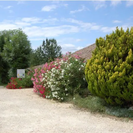 Campsite 3 Avec Terrasse Pour 5 Personnes - Api-1-52-617 *