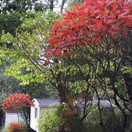 3 Avec Terrasse Pour 5 Personnes - Api-1-52-617 Campsite Rives (Lot-et-Garonne)