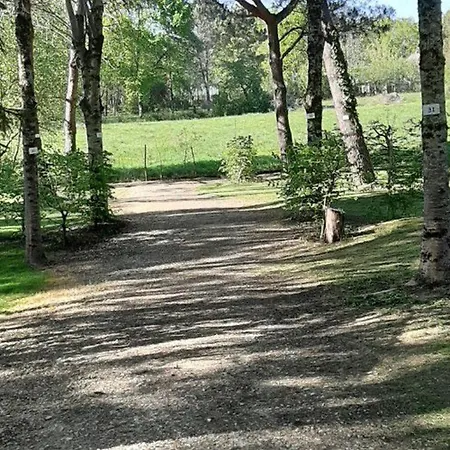 3 Avec Terrasse Pour 5 Personnes - Api-1-52-617 Campsite