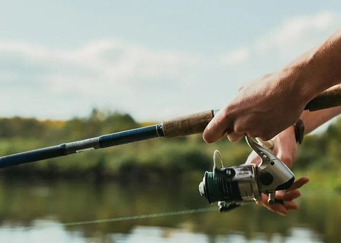 3 Avec Terrasse Pour 5 Personnes - Api-1-52-617 Rives